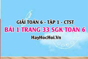 Giải bài 1 trang 33 Toán 6 Tập 1 SGK Chân trời sáng tạo: Số nguyên tố và hợp số